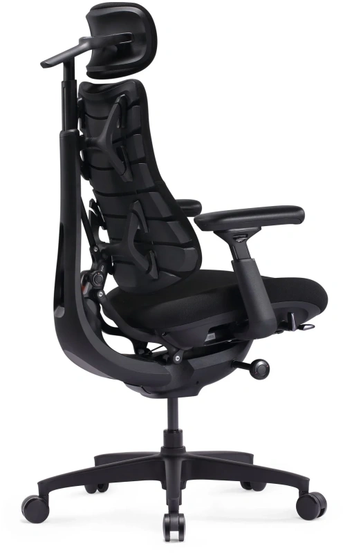 Кресло Libernovo Omni SE/S1, механическая версия, Obsidian Black, 48 cm, глобальная версия, с подставкой под ноги