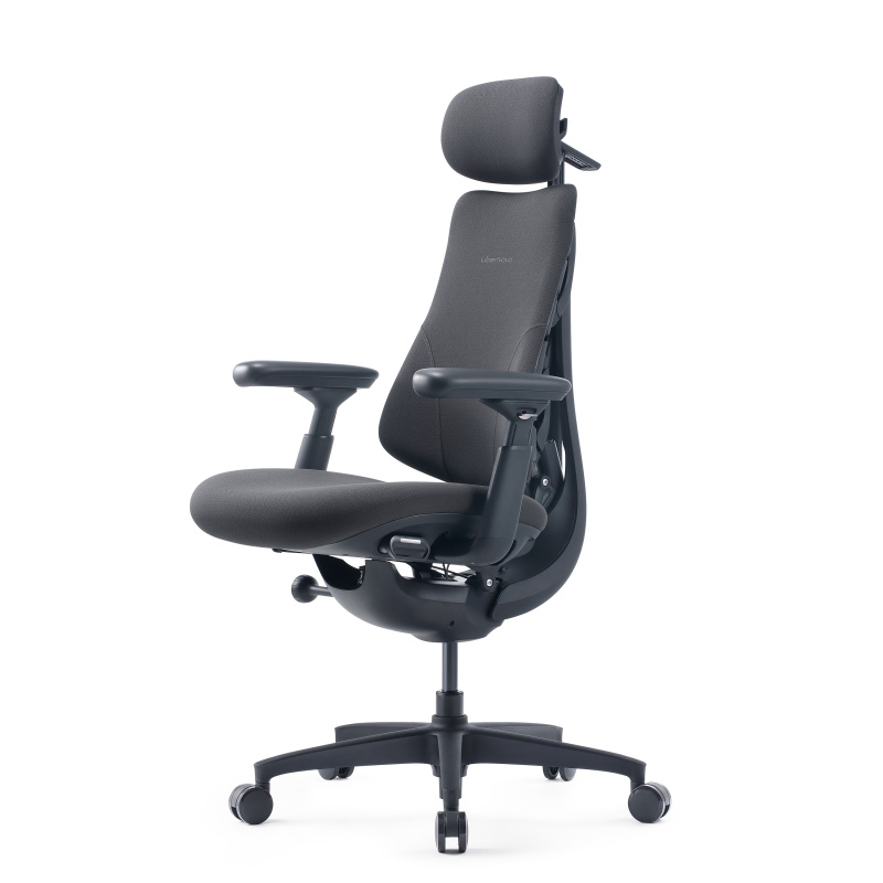 Кресло LiberNovo Dynamic Omni OC1 Gen (обновленная версия), размер 45 см, цвет Graphite, с подставкой для ног. Глобальная версия